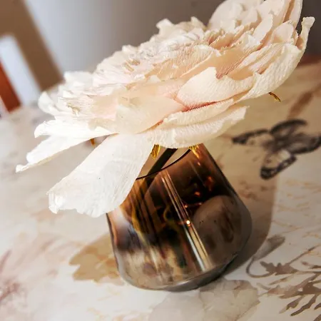 Casa Estrellas Agua de Bueyes