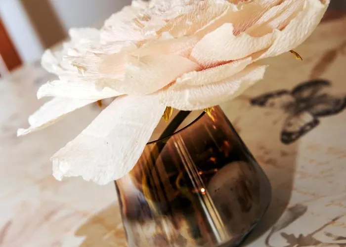 Casa Estrellas Agua de Bueyes